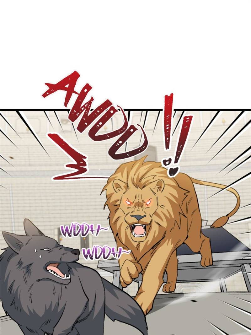 81492431 800 1067 91940